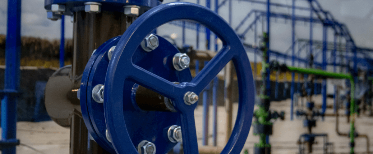 Providing a Professional & Reliable Service